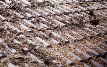 Vaynor roof cleaning companies